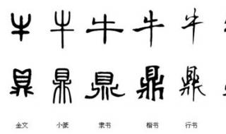 汉字的演变过程有8个